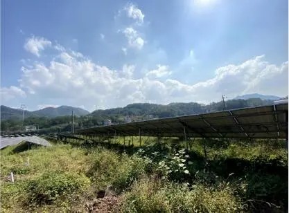 PV module-level monitoring system helps PV power plants improve energy efficiency