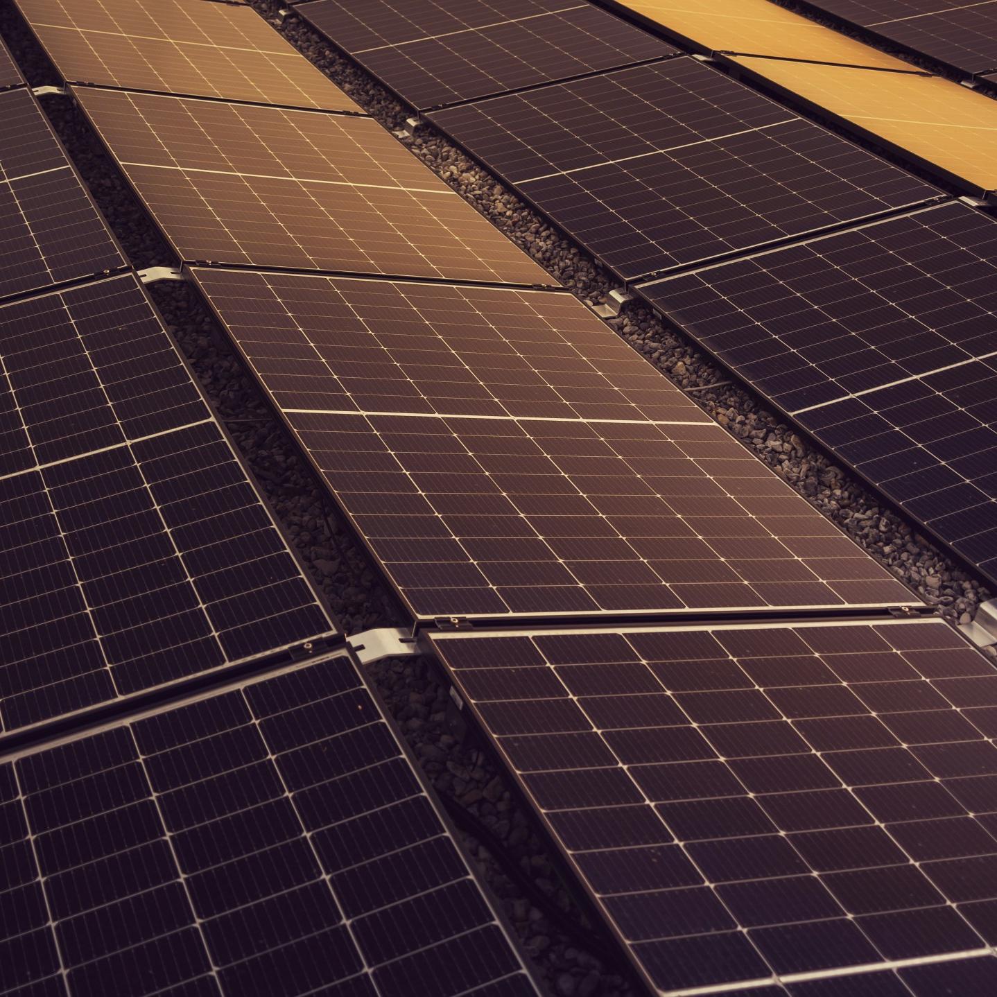 Rapid Shutdown Solar & PV Optimizers: Why Fonrich Thailand Leads as MLPE Manufacturer(pic1)