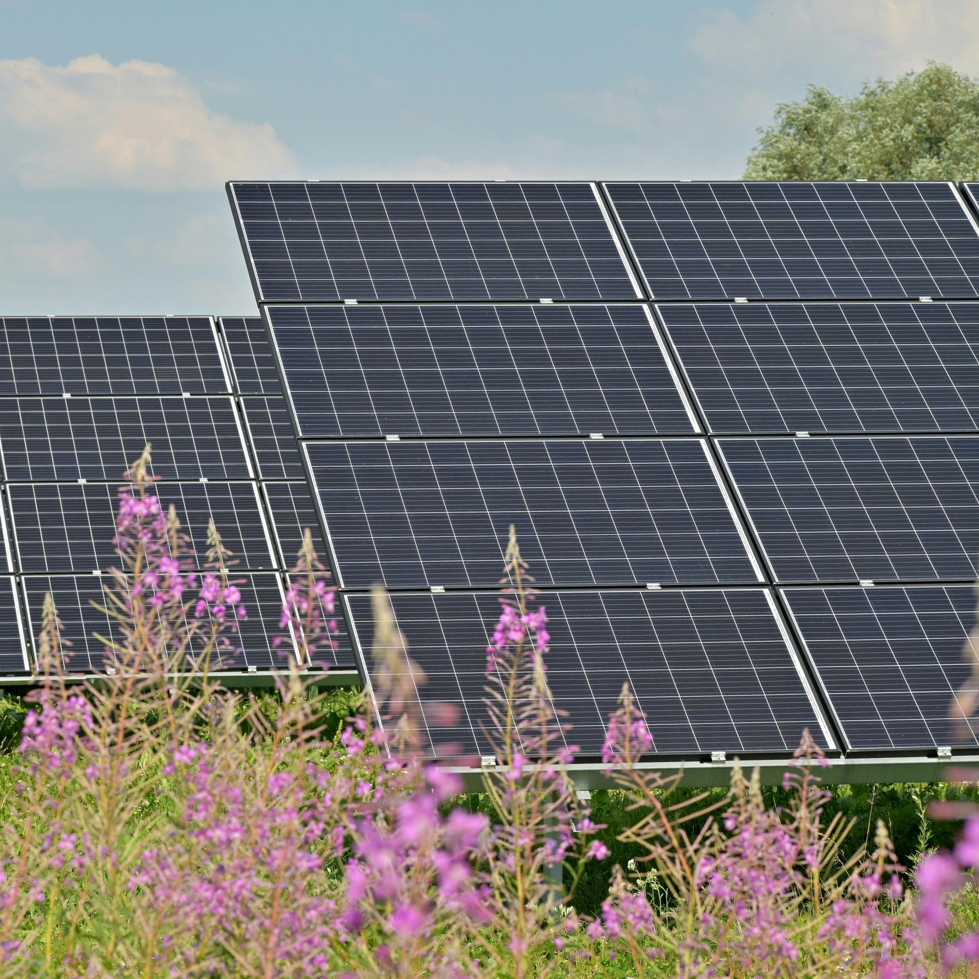 Erfüllung der neuen Sicherheitsstandards in Brasilien: Wie AFCI mit Rapid Shutdowns Wohnsolaranlagen